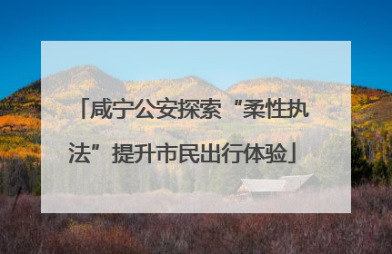 咸宁公安探索“柔性执法”提升市民出行体验